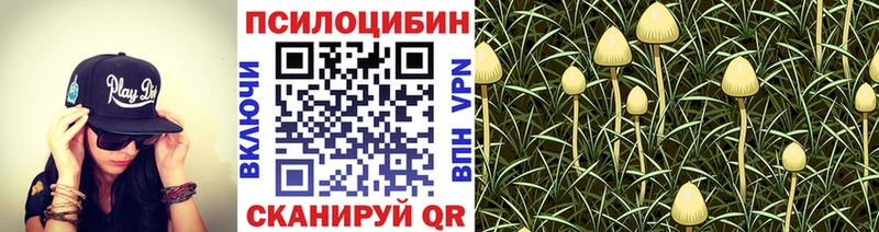 Псилоцибиновые грибы прущие грибы  kraken вход  Талдом 